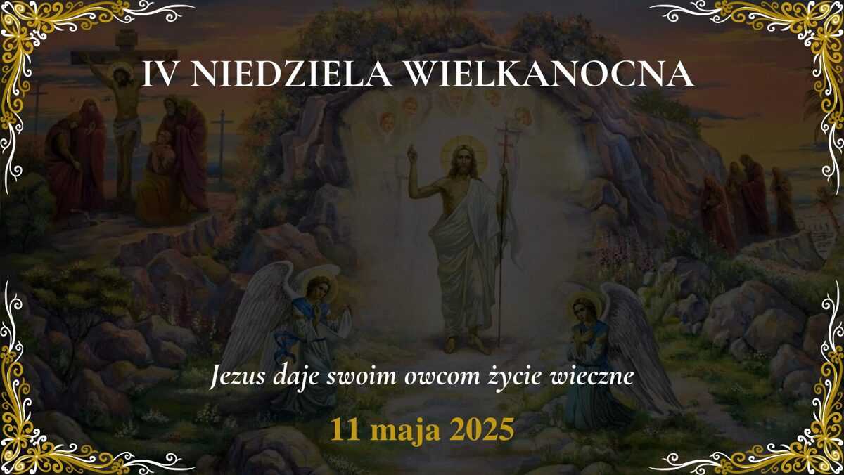 1000016384.jpg