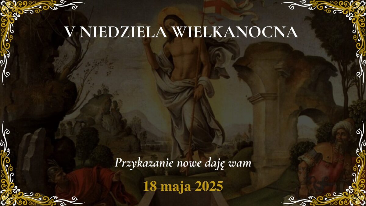 1000017035-1.jpg